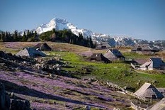 Velika Planina