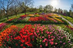 Arboretum Volčji Potok