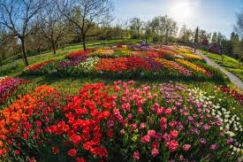 Arboretum Volčji Potok