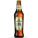 Pivo Tsingtao IPA