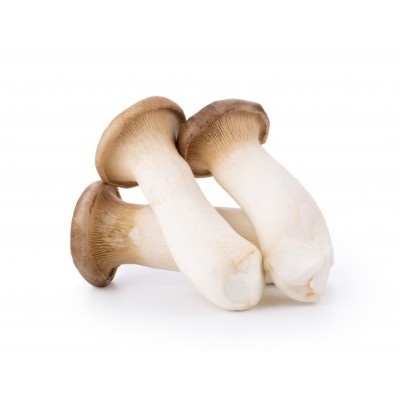 King oyster mushroom (Eringii)